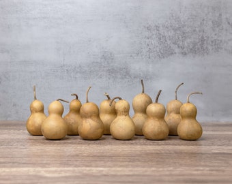 10 Dried Bottle Gourds - 2" Diameter