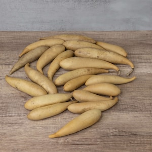 Box of 20 Dried Hard Shell Gourd Bananas