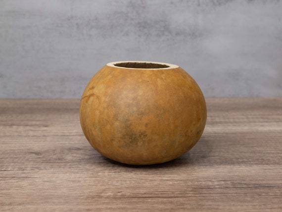 Hard Shell Gourd Bowl - 6" in Diameter, Made From a Cleaned and Dried Gourd