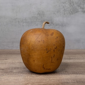May include: A brown gourd shaped like an apple with a small stem. The gourd has a rough, textured surface and is sitting on a wooden surface.