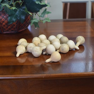 May include: A group of small, beige gourds with a stem on one end. The gourds are arranged in a pile on a wooden table.