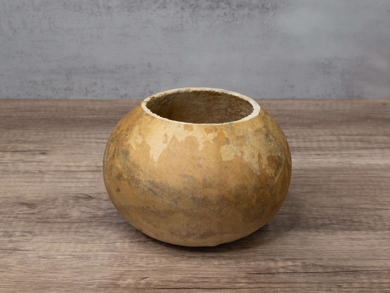 An example of a dried gourd bowl that is 6-inches in diameter with a straight-cut top.