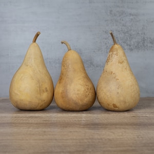 3 Dried Martin Gourds - 5&quot; Diameter