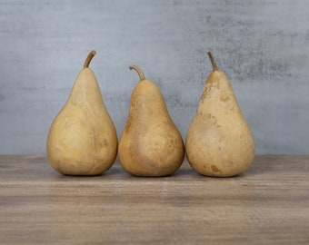 3 Dried Martin Gourds - 5&quot; Diameter