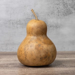 Dried Bottle Gourd - 6&quot; Diameter, Medium Gourd for Crafts and Decorating