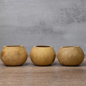 3 Dried Gourd Bowls - 4&quot; in Diameter,  Ready for Crafting and Decorating