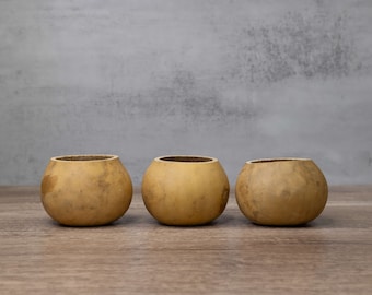 3 Dried Gourd Bowls - 4" in Diameter,  Ready for Crafting and Decorating