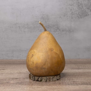 Dried Martin Gourd: 5&quot; Craft Gourd with Wood Base