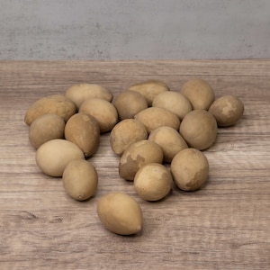 20 Small Dried Hard Shell Gourd Eggs