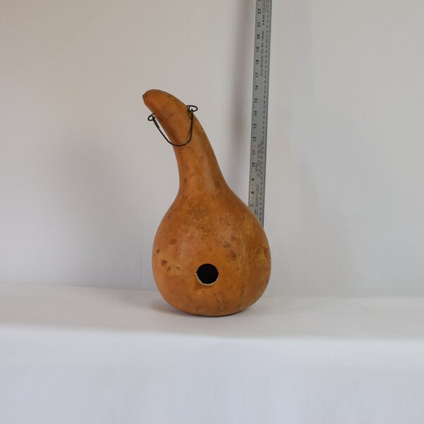 Gourd Birdhouse with Hook - Dried and Cleaned for Crafting
