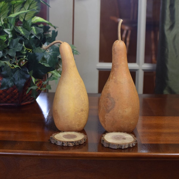 2 Penguin Gourds (8" - 10"), Dried Gourds with Wooden Bases for Crafting Projects