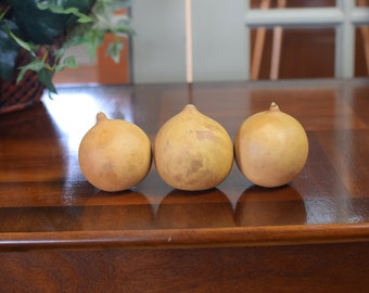 Box of 3 Dried Cannonball Gourds - 3" Diameter