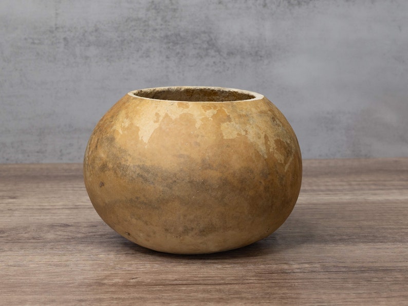 An example of a dried gourd bowl that is 6-inches in diameter with a straight-cut top.