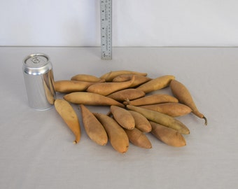 Box of 20 Dried Hard Shell Gourd Bananas