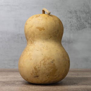 Dried Hard Shell Bottle Gourd - 7" Diameter