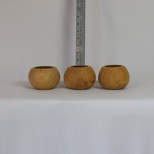 Gourd Bowls Etsy
