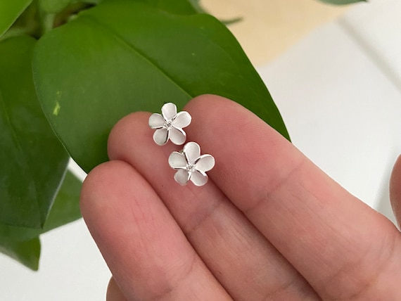 Illustrazione Ad Acquerello Del Fiore Di Plumeria Hawaiana Disegno Plumeria In Acquerello - Foto 7