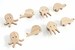 Animal handles for children's furniture made of untreated oak wood, knob, button, chest of drawers, wardrobe, drawer, door, children's room, gift idea 