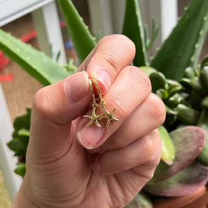 Starfish Huggie Hoops