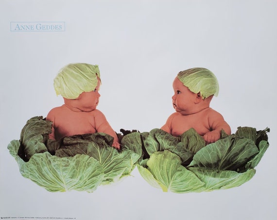tv Samenwerking Ongewapend Anne Geddes Cabbage Babies Poster 40 X 50 Cm - Etsy
