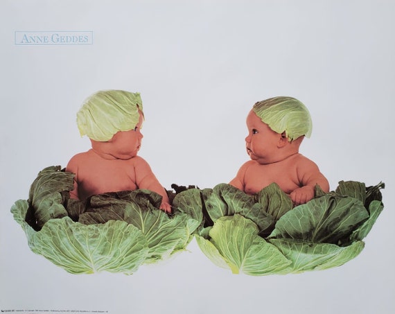 Anne Geddes Cabbage Babies Poster 40 X 50 Cm Etsy