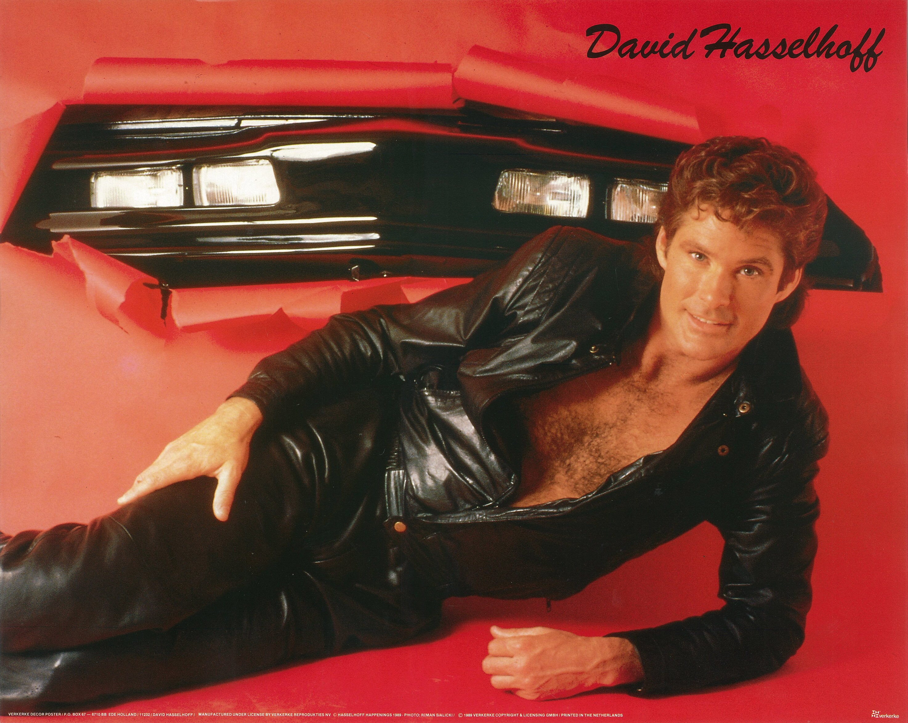 David Hasselhoff The Hoff 1980's Knight Rider Vintage Poster Size X ubicaciondepersonas.cdmx