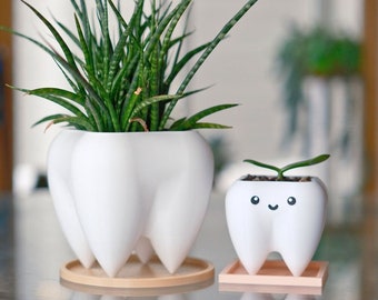 Tooth Planter/Pen Pencil Holder, Smiley Office Desk Planter, Happy Face Succulent Cactus Planter, Dentist Gift, 3D Printed Plant Pot