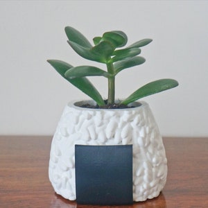 Onigiri Sushi Planter / Soporte lápiz, olla de la planta de la bola de arroz, decoración del escritorio de la oficina, tokyo kawaii lindo olla, regalo japonés amante del sushi