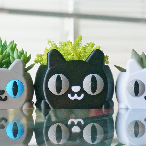 Sky Cat Succulent Planter- Stationery Holder- Kitty Pet Animal Pot- Cute Office Desk Planter- Smiley Small Planter Decor- Kitten Lover Gift