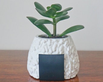 Onigiri Sushi Planter: Kawaii Desk Pen & Plant Holder