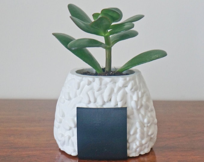 Onigiri Sushi Planter: Kawaii Desk Pen & Plant Holder