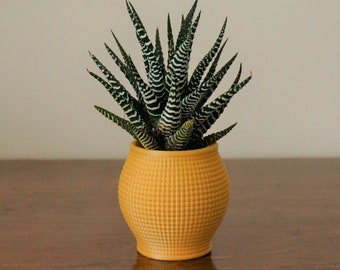 White & Gold Succulent Pot: Minimalist Desk Organizer