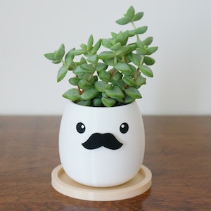 May include: White ceramic planter with a mustache and eyes, holding a green succulent plant. The planter is sitting on a wooden surface.