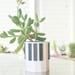 see more listings in the Minimalist planters section