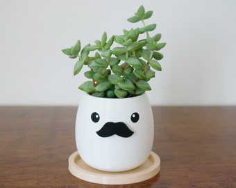 Mustache Succulent Planter/ Pencil Pen holder, 5 STYLES, Office Desk Organizer, Cute Kawaii Face planter, Father's Day Gift, Gift for Him
