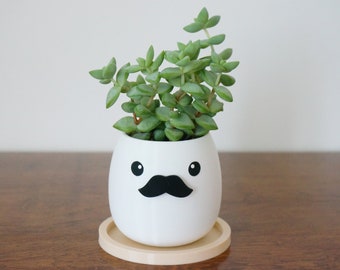 Snor succulente plantenbak/potlood pennenhouder, 5 STIJLEN, bureauorganisator, schattige kawaii gezicht plantenbak, vaderdagcadeau, cadeau voor hem