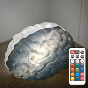 RC Split Mind Brain Light: LED Biology & Neurology Desk Decor