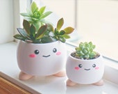 Cute Smiling Planter with Feet, Office Supply Organizer, Desk Decoration 3D Printed, Plant Pot with Shoes, Kawaii Anime Face