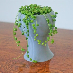 May include: A light gray ceramic planter with a unique shape resembling a head, filled with a trailing string of pearls plant with green leaves and small round green beads.