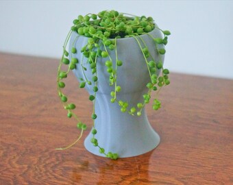 Trophy Plant Pot: Minimalist PLA Planter, Office Desk Decor