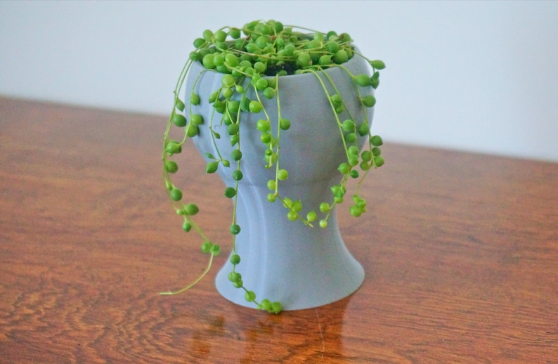 May include: A light gray ceramic planter with a unique shape resembling a head, filled with a trailing string of pearls plant with green leaves and small round green beads.