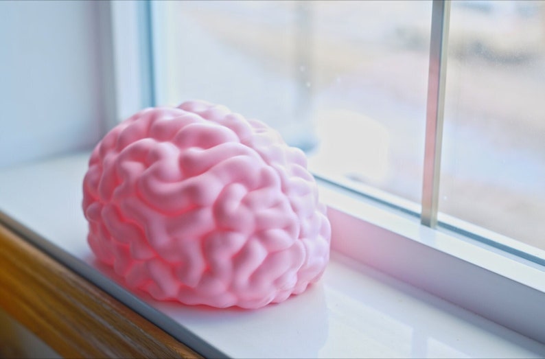 May include: A pink brain-shaped object sits on a white windowsill next to a window. The brain model is a light pink color and has a detailed, textured surface, mimicking the folds and crevices of a real brain.