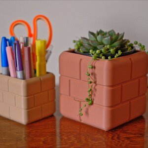 Pu&ograve; includere: Due contenitori in terracotta a forma di mattone. Il contenitore a sinistra contiene penne e matite, mentre il contenitore a destra contiene una piccola pianta succulenta con viti rampicanti.
