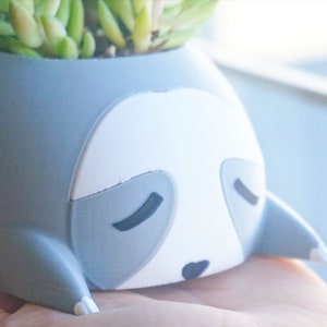 May include: A gray ceramic planter shaped like a sleeping sloth with a white face and black eyes. The planter is holding a small succulent plant.
