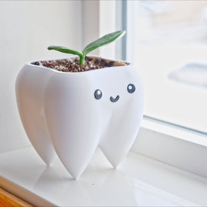 Puede incluir: Una maceta blanca con forma de diente con una cara sonriente, que contiene tierra y una peque&ntilde;a planta verde. La maceta est&aacute; en un alf&eacute;izar, con una escena borrosa al aire libre visible a trav&eacute;s de la ventana.