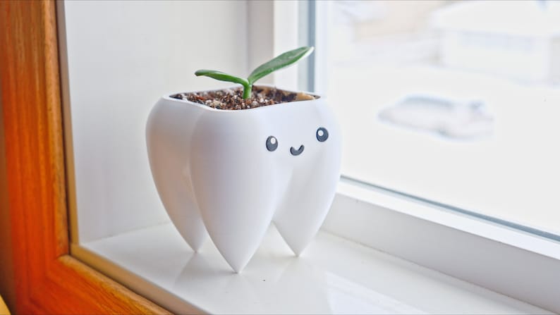 Puede incluir: Una maceta blanca con forma de diente con una cara sonriente, que contiene tierra y una peque&ntilde;a planta verde. La maceta est&aacute; en un alf&eacute;izar, con una escena borrosa al aire libre visible a trav&eacute;s de la ventana.