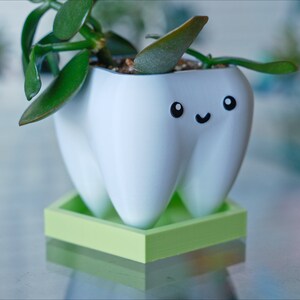 1/2-Inch Tall Pentagon Plant Saucer: Minimalist Succulent Drip Tray image 2