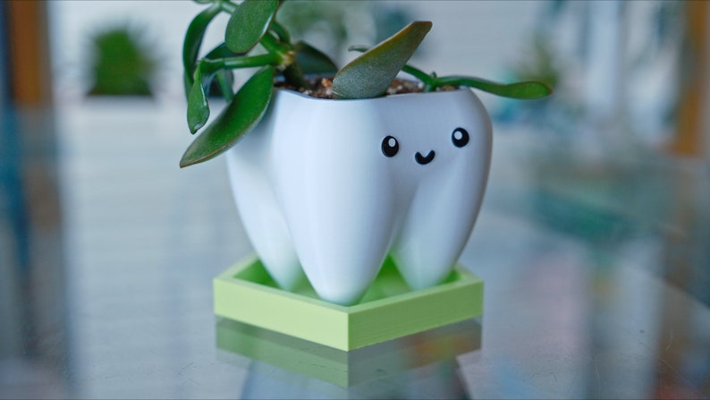 1/2-Inch Tall Pentagon Plant Saucer: Minimalist Succulent Drip Tray image 2