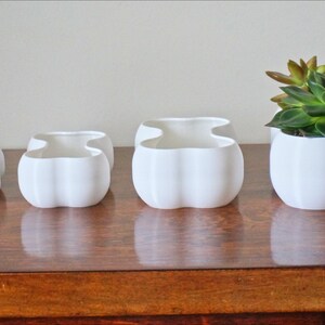 May include: Four white ceramic planters of varying sizes, with a succulent plant in the largest planter.
