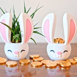 May include: Two white bunny-shaped planters with pink ears. One planter has a green succulent plant inside, and the other planter has gold coins inside. There are gold coins scattered on the wooden surface.